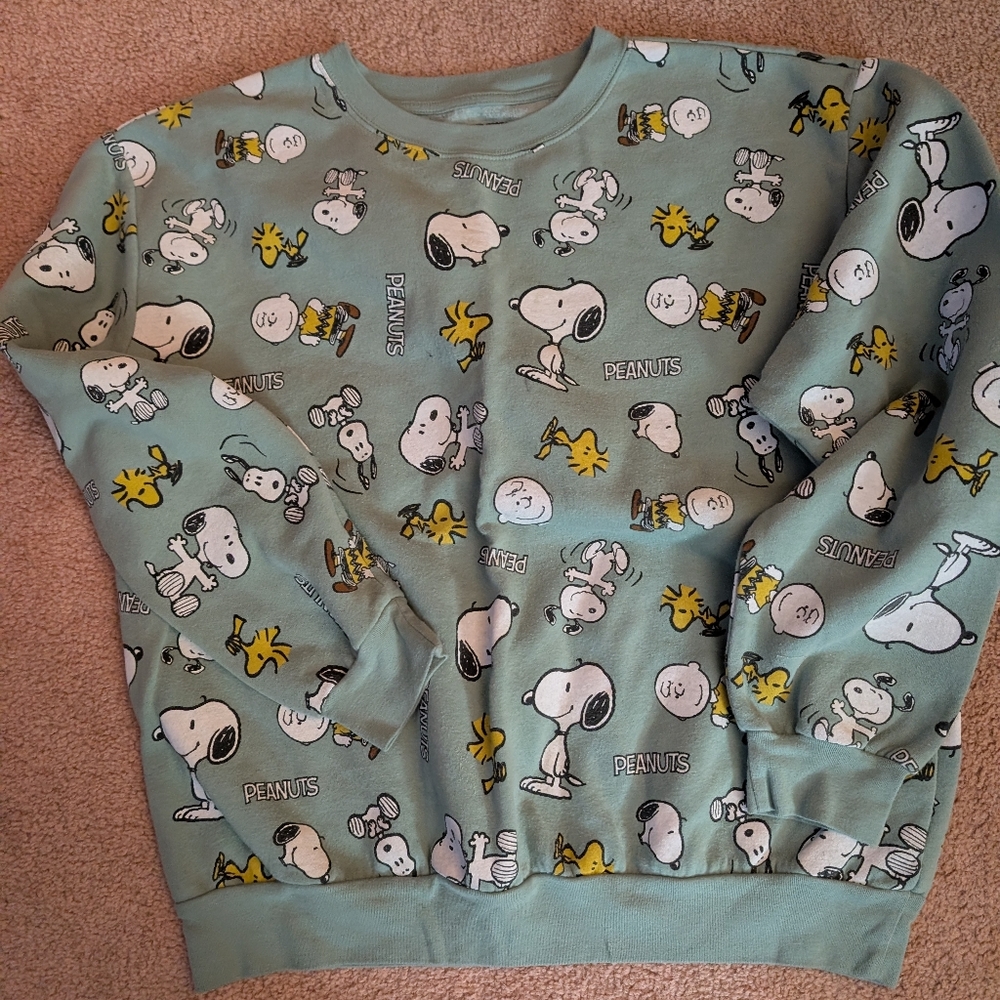 Peanuts Blue Graphic Sweatshirt